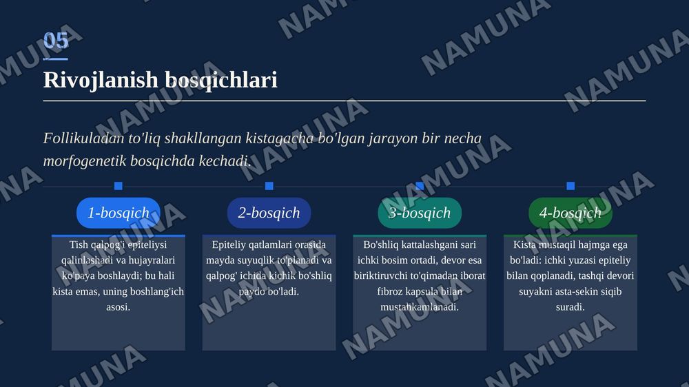 Birlamchi tish tutuvchi kistalar, ularning morfologiyasi, joylashuvi. — zamonaviy taqdimot, 6-slayd