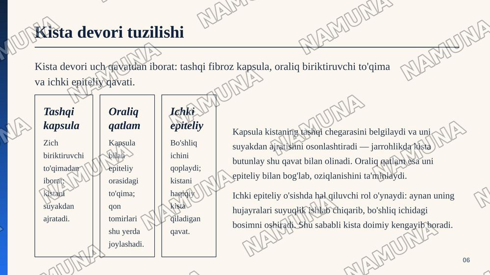 Birlamchi tish tutuvchi kistalar, ularning morfologiyasi, joylashuvi. — zamonaviy taqdimot, 7-slayd