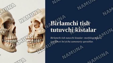 Birlamchi tish tutuvchi kistalar, ularning morfologiyasi, joylashuvi. — zamonaviy taqdimot