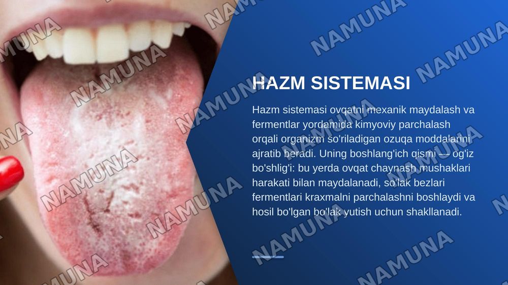 Hazm qilish sistemasi. Og'iz bo'shlig'i va tishlar gistogenezi — zamonaviy taqdimot, 3-slayd