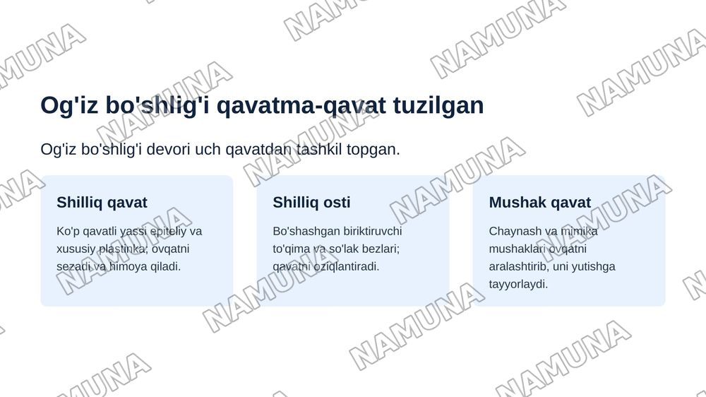 Hazm qilish sistemasi. Og'iz bo'shlig'i va tishlar gistogenezi — zamonaviy taqdimot, 4-slayd