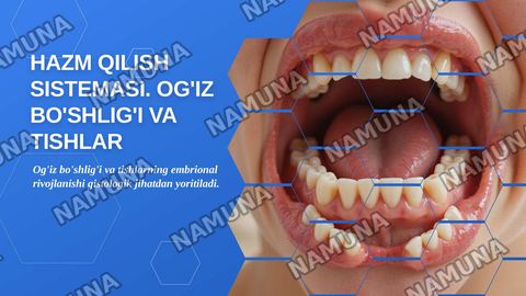 Hazm qilish sistemasi. Og'iz bo'shlig'i va tishlar gistogenezi — zamonaviy taqdimot