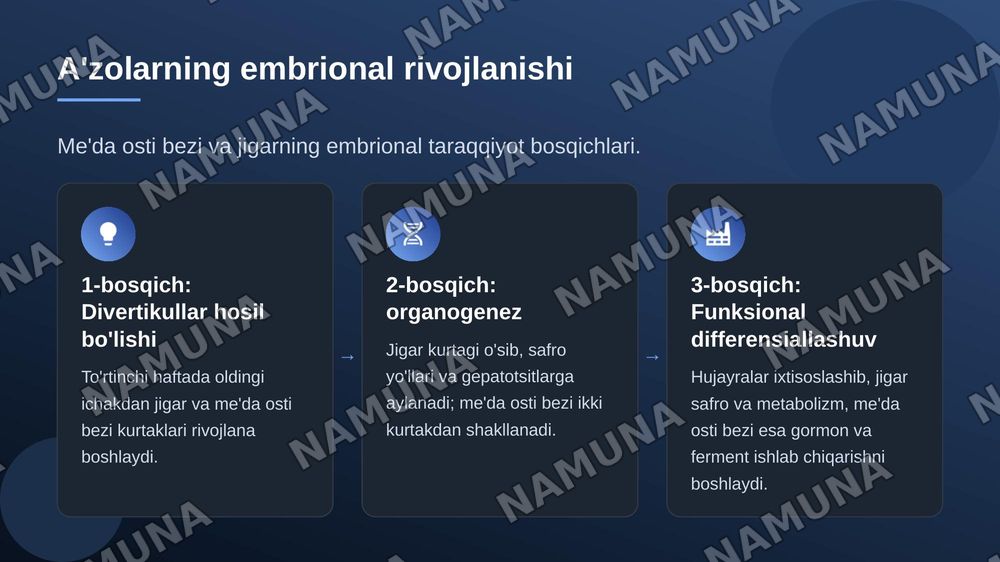 Me'da osti bezi, jigar : taraqqiyoti, tuzilishi, umumiy tavsifi — zamonaviy taqdimot, 4-slayd