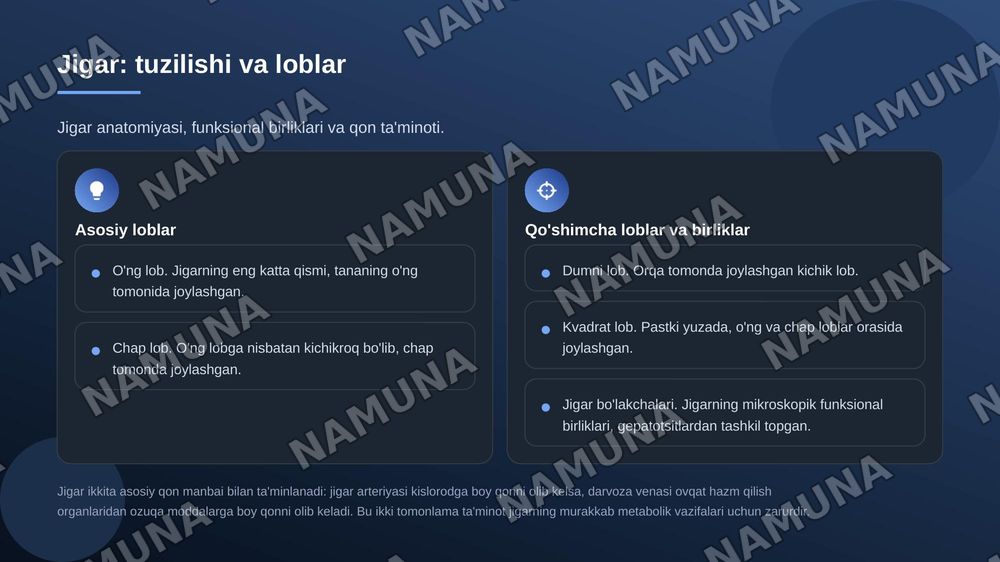 Me'da osti bezi, jigar : taraqqiyoti, tuzilishi, umumiy tavsifi — zamonaviy taqdimot, 6-slayd