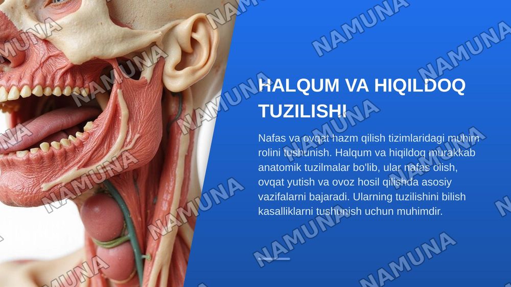 Mavzu:Halqum va hiqildoq kasalliklari bilan og'rigan bemorlarda hamshiralik ishi
O'.B.K:Xalqum tuzilishi va vazifalarini.Burun-halqum kasalliklarini.Og'iz-halqum kasalliklarini.Halqum-xiqildoq kasalliklarini.Hiqildoq jarohatlari va unga yot jismlar tushishiniO'tkir va surunkali laringitlarniSoxta va — zamonaviy taqdimot, 3-slayd