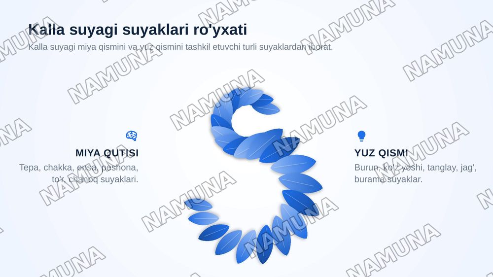 Kallaning miya bo'limi suyaklari — zamonaviy taqdimot, 7-slayd