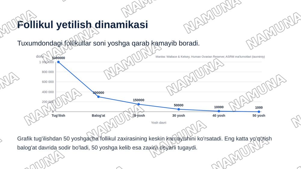 Ayollar jinsiy sistemasi gistalogiyasi — zamonaviy taqdimot, 4-slayd