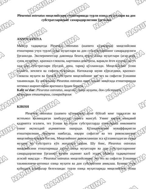 Pleurotus ostreatus мицелийсини етиштиришда турли озиқа муҳитлари ва дон субстратларининг самарадорлигини ўрганиш — maqola