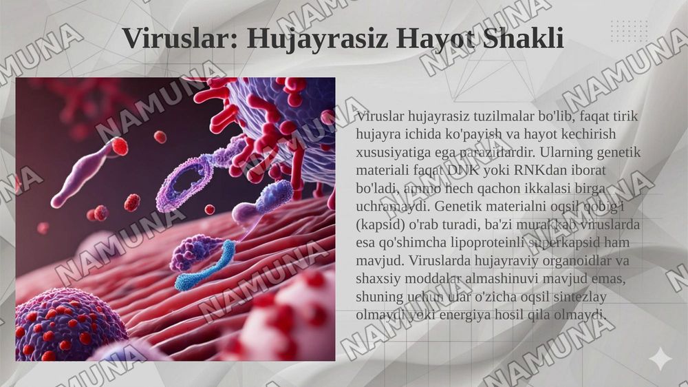 Viruslar. Pro-eukariot hujayralarning oʻziga xos tuzilishi va farqlari. Eukariot hujayralarning ultrastrakturaviy tuzilishi — taqdimot, 4-slayd