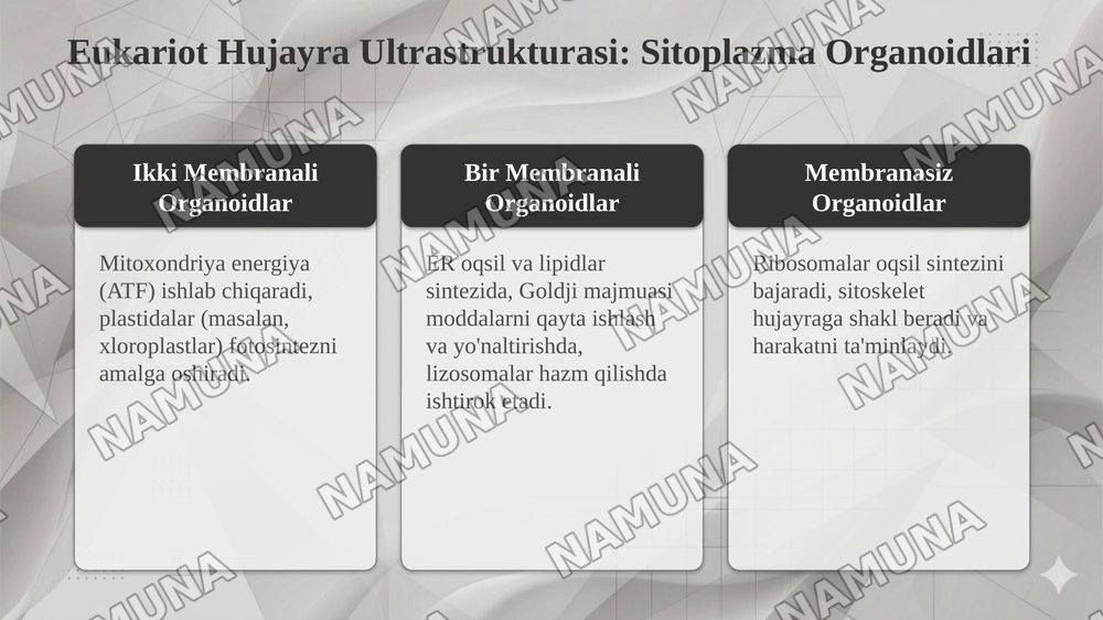 Viruslar. Pro-eukariot hujayralarning oʻziga xos tuzilishi va farqlari. Eukariot hujayralarning ultrastrakturaviy tuzilishi — taqdimot, 8-slayd