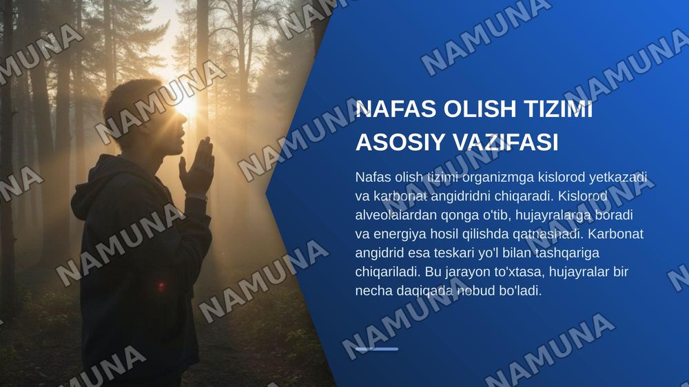 Opkaning tiriklik sigimi va aniqlash usullari — zamonaviy taqdimot, 3-slayd