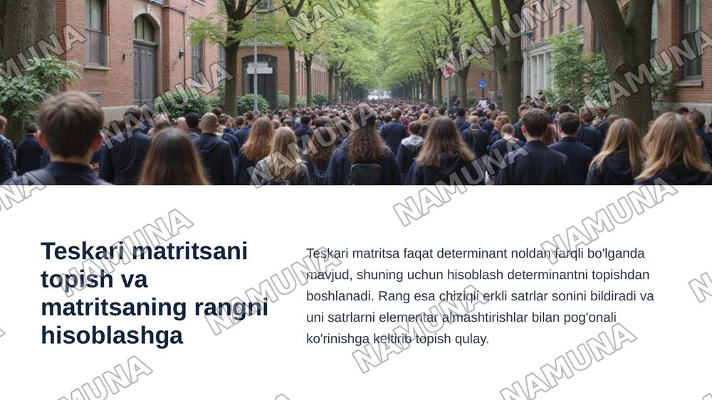 Teskari matritsani topish va matritsaning rangni hisoblashga oid misollar yechish — zamonaviy taqdimot, 3-slayd