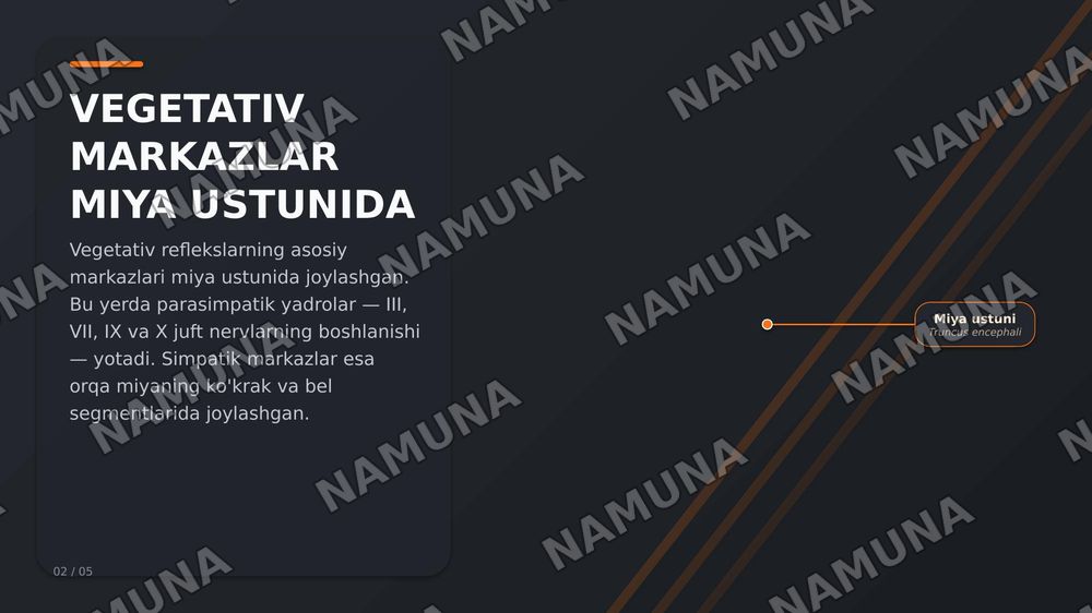 Vegetativ nerv tizimining simpatik va parasimpatik qismi — zamonaviy taqdimot, 2-slayd