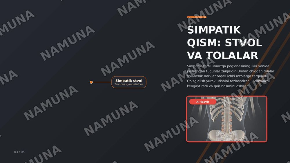 Vegetativ nerv tizimining simpatik va parasimpatik qismi — zamonaviy taqdimot, 3-slayd