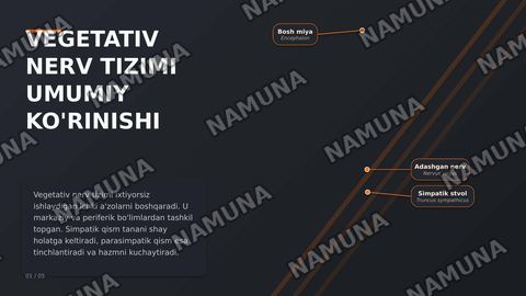 Vegetativ nerv tizimining simpatik va parasimpatik qismi — zamonaviy taqdimot
