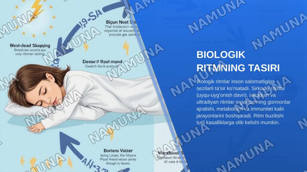 Gen genom va xramasoma kasalliklarining malekulyor genetik asoslari hamda zamonaviy diognostika usullari
Biologik ritmning inson salomatligiga tasiri 
Epigenetik omillarning genlar faolligiga tasiri
Biologik faol moddalar va ularning inson organizimiga tasiri
Organizmning biologik himoya mexonizmlar — zamonaviy taqdimot, 5-slayd