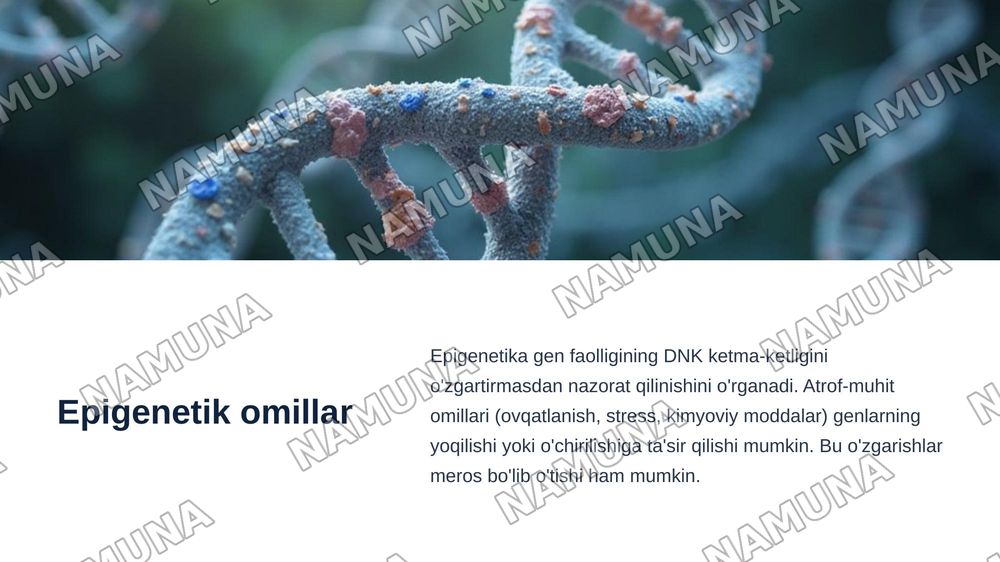 Gen genom va xramasoma kasalliklarining malekulyor genetik asoslari hamda zamonaviy diognostika usullari
Biologik ritmning inson salomatligiga tasiri 
Epigenetik omillarning genlar faolligiga tasiri
Biologik faol moddalar va ularning inson organizimiga tasiri
Organizmning biologik himoya mexonizmlar — zamonaviy taqdimot, 7-slayd