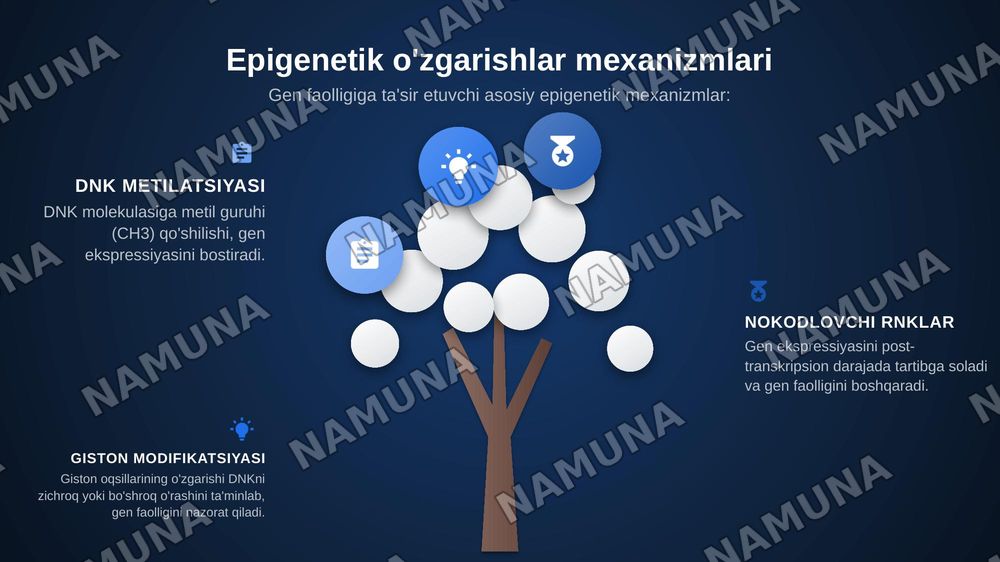 Gen genom va xramasoma kasalliklarining malekulyor genetik asoslari hamda zamonaviy diognostika usullari
Biologik ritmning inson salomatligiga tasiri 
Epigenetik omillarning genlar faolligiga tasiri
Biologik faol moddalar va ularning inson organizimiga tasiri
Organizmning biologik himoya mexonizmlar — zamonaviy taqdimot, 8-slayd