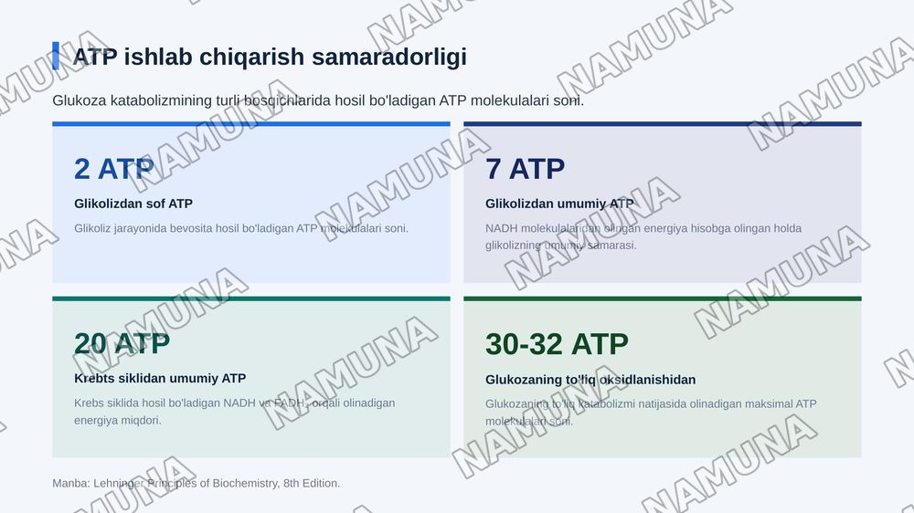 Glukoza katabalizmi va glukogenez — zamonaviy taqdimot, 7-slayd
