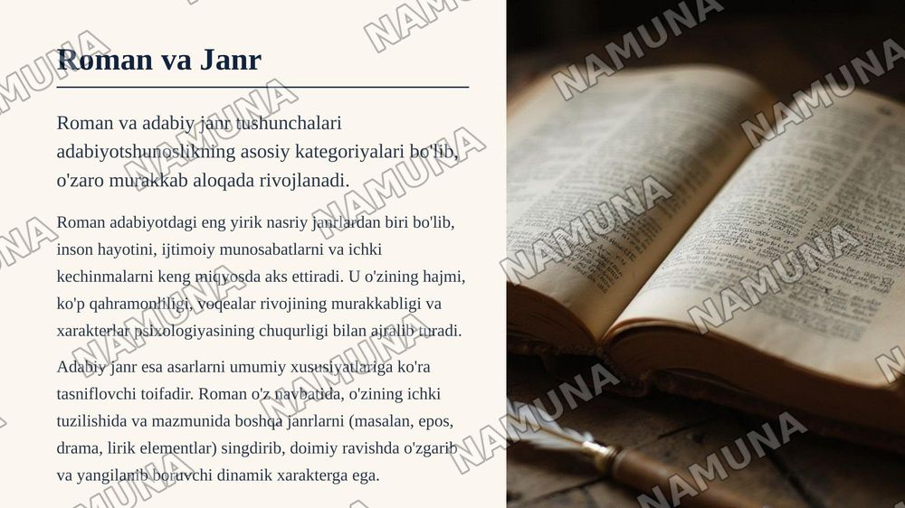 Roman va janr — zamonaviy taqdimot, 3-slayd