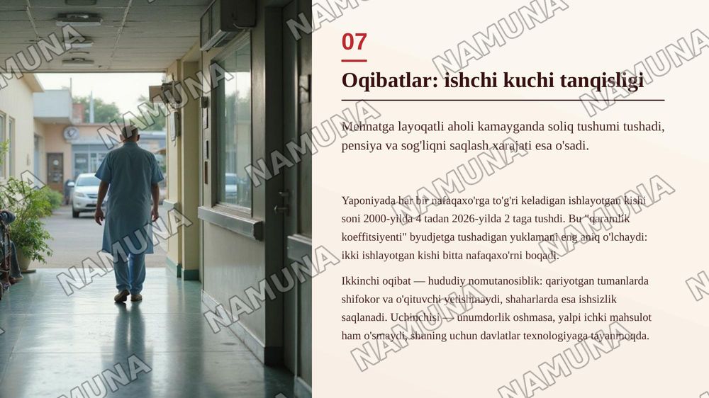 Zamonaviy demografik inqirozlar: sabablari va yechimlari — zamonaviy taqdimot, 8-slayd