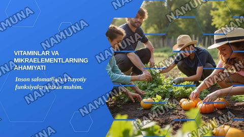 Vitaminlar va mikraelementlarning ahamiyati — zamonaviy taqdimot