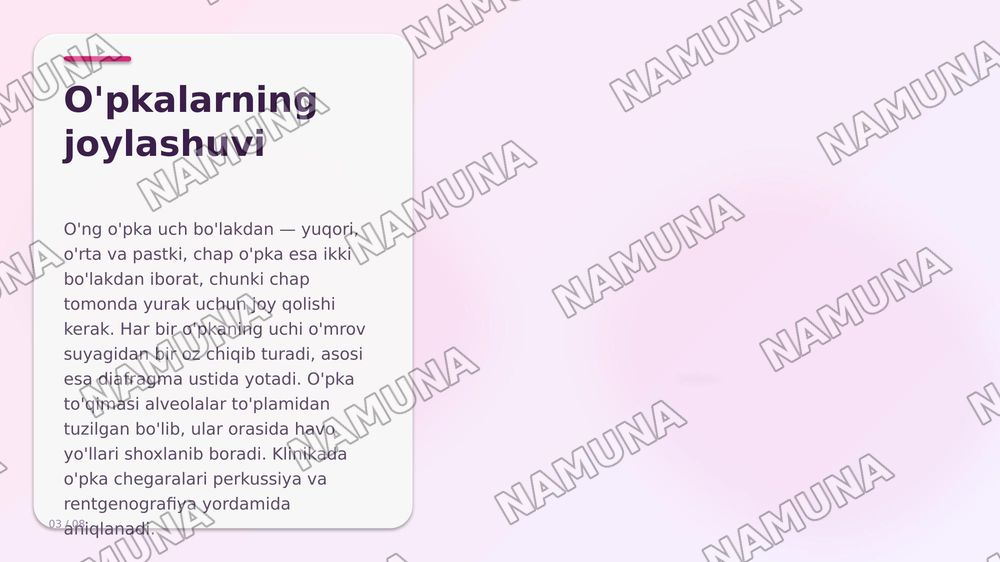 Ko'krak sohasi klinik anatomiyasi va ko'krak boshlig'i a'zolarining klinik anatomiyasi — zamonaviy taqdimot, 4-slayd
