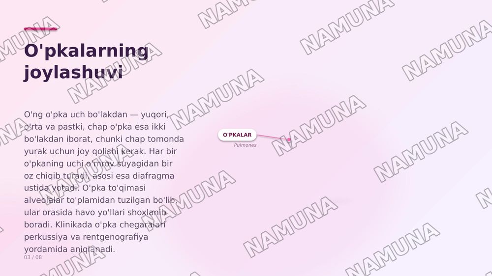 Ko'krak sohasi klinik anatomiyasi va ko'krak boshlig'i a'zolarining klinik anatomiyasi — zamonaviy taqdimot, 5-slayd