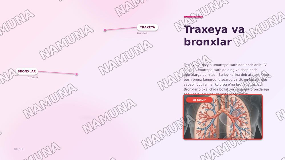 Ko'krak sohasi klinik anatomiyasi va ko'krak boshlig'i a'zolarining klinik anatomiyasi — zamonaviy taqdimot, 7-slayd