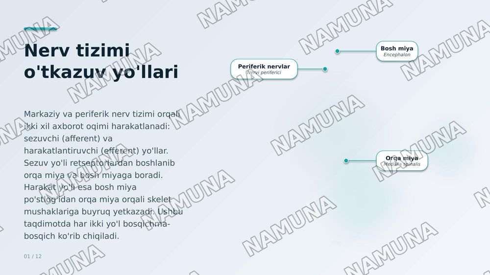 Sezuv òtkazuv yòllari. Harakat òtkazuv yòllari. — zamonaviy taqdimot, 1-slayd