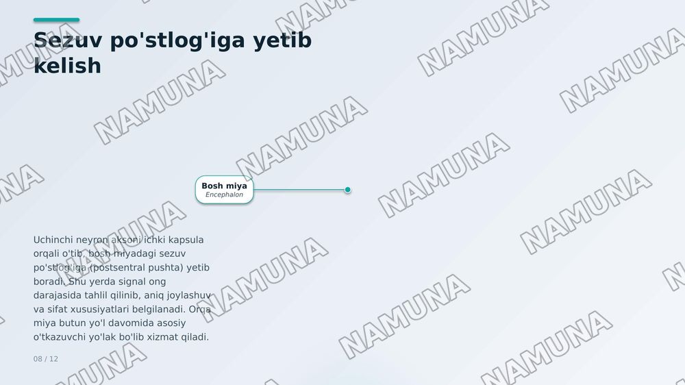 Sezuv òtkazuv yòllari. Harakat òtkazuv yòllari. — zamonaviy taqdimot, 8-slayd