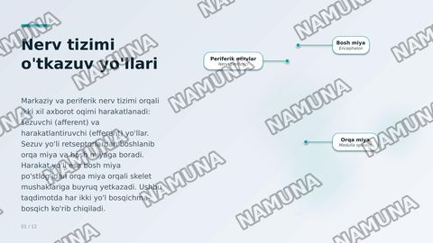 Sezuv òtkazuv yòllari. Harakat òtkazuv yòllari. — zamonaviy taqdimot