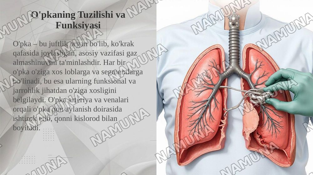 O‘pka, o‘pka ildizi va havo o‘tkazuvchi yo‘llarning klinik anatomiyasi
O‘pka jarohatiga chok qo‘yish — taqdimot, 4-slayd