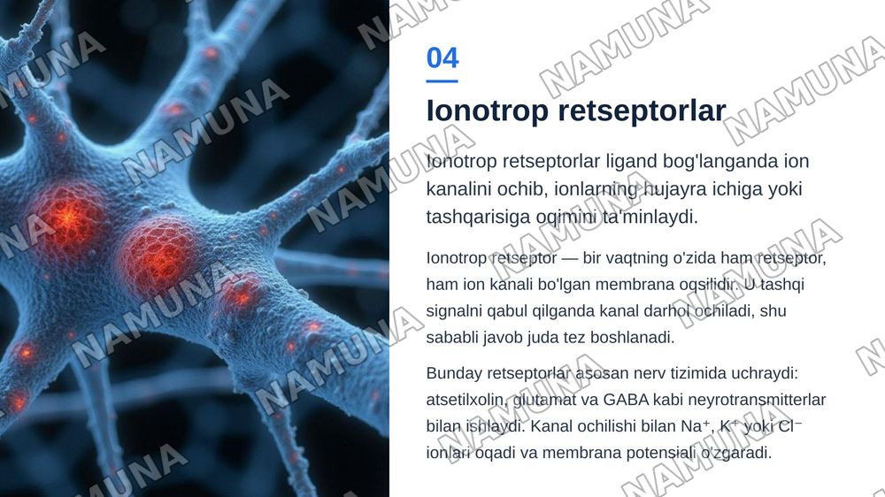 Retseptorlar haqida umumiy tushuncha ionotrop retseptorlar intrasellular retseptorlar — zamonaviy taqdimot, 5-slayd