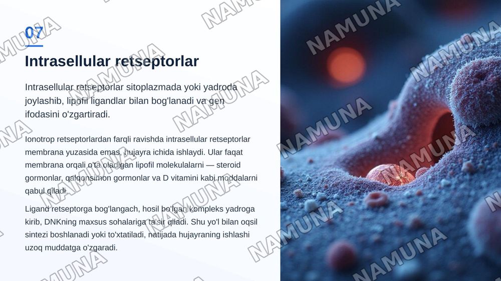 Retseptorlar haqida umumiy tushuncha ionotrop retseptorlar intrasellular retseptorlar — zamonaviy taqdimot, 8-slayd