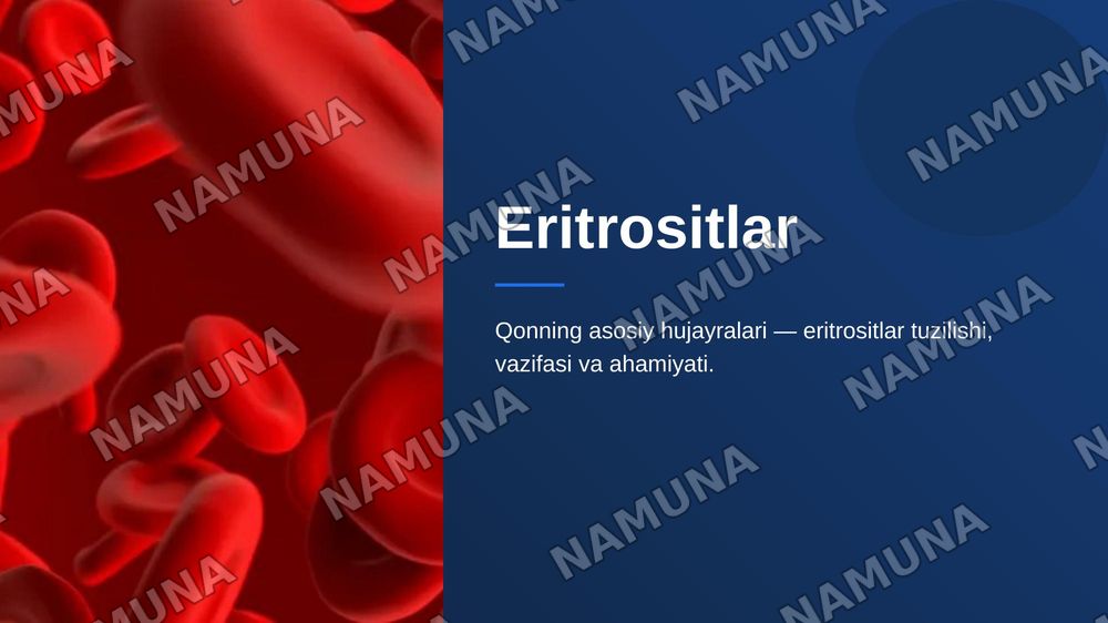 Eritrositlar — zamonaviy taqdimot, 1-slayd