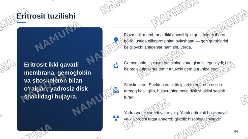 Eritrositlar — zamonaviy taqdimot, 5-slayd