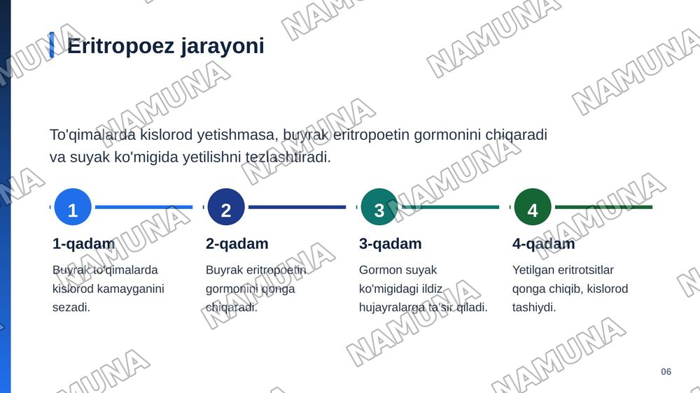 Eritrositlar — zamonaviy taqdimot, 7-slayd