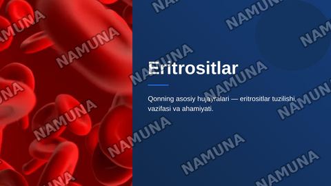 Eritrositlar — zamonaviy taqdimot