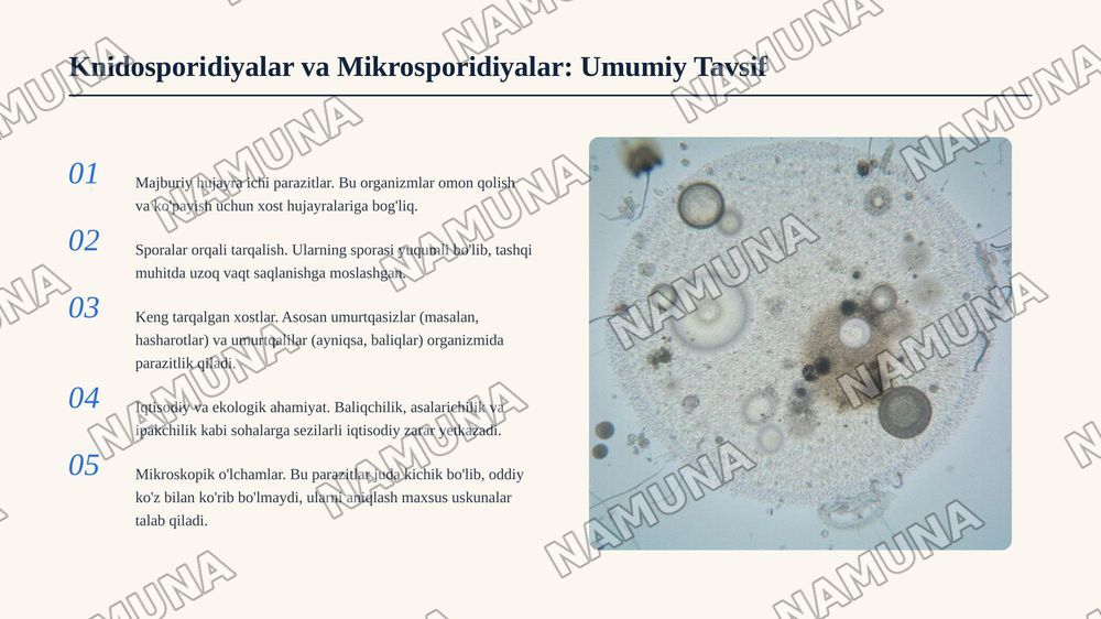 Knidosporidiyalar va mikrosporidiyalarning tip umumiy tavsifi, sistematikasi va fayl mahsuldor hayvonlarda parazitlik qilib, qo'zg'atadigan kasalliklari. — zamonaviy taqdimot, 3-slayd