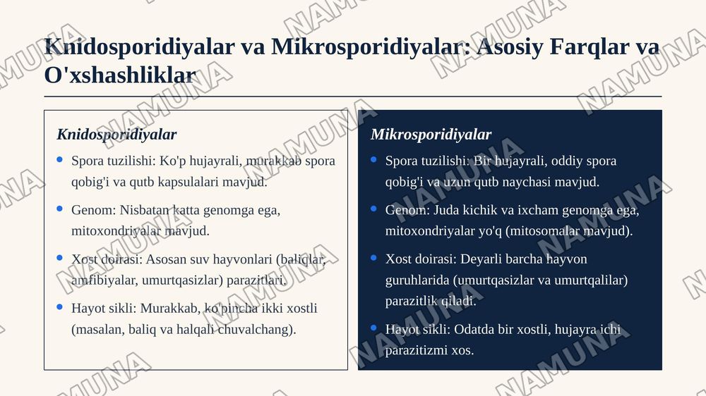Knidosporidiyalar va mikrosporidiyalarning tip umumiy tavsifi, sistematikasi va fayl mahsuldor hayvonlarda parazitlik qilib, qo'zg'atadigan kasalliklari. — zamonaviy taqdimot, 4-slayd
