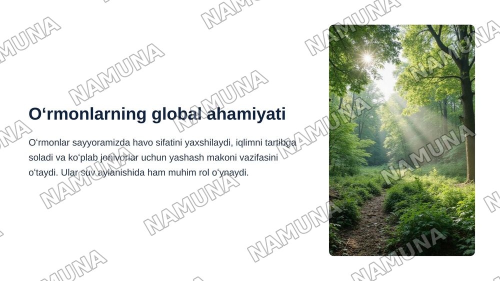 Oʻrmonchilik fani tarixi,Dunyo oʻrmonlari.Dendrologik tarkibi va geografik taqsimlanishi. — zamonaviy taqdimot, 3-slayd
