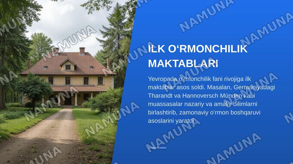 Oʻrmonchilik fani tarixi,Dunyo oʻrmonlari.Dendrologik tarkibi va geografik taqsimlanishi. — zamonaviy taqdimot, 5-slayd