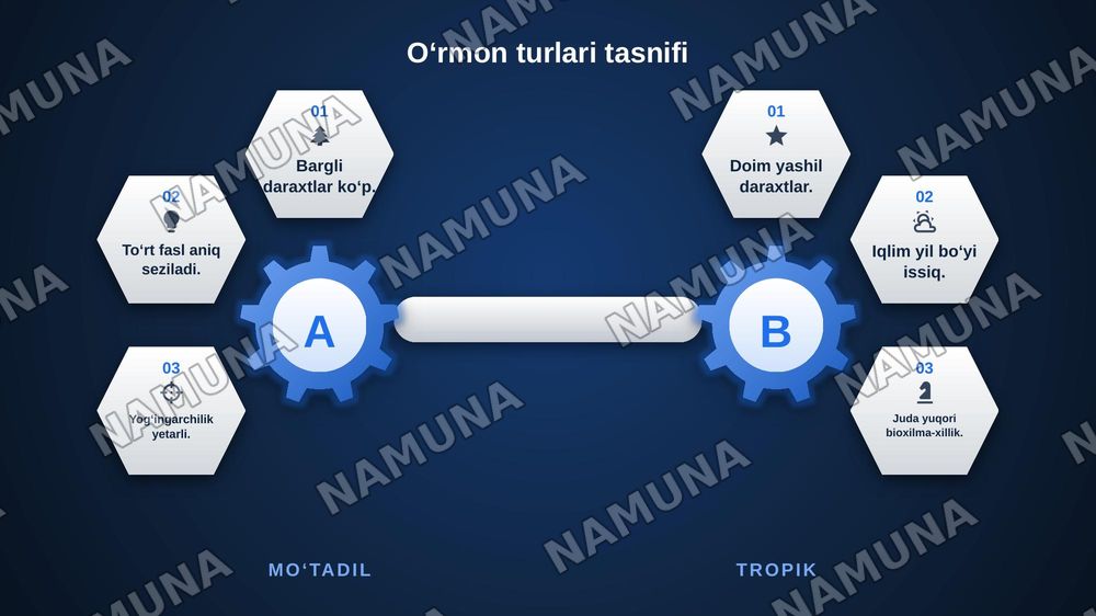 Oʻrmonchilik fani tarixi,Dunyo oʻrmonlari.Dendrologik tarkibi va geografik taqsimlanishi. — zamonaviy taqdimot, 8-slayd