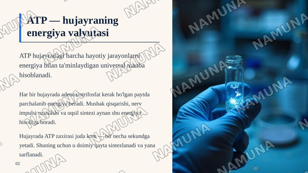 Adenozintrifosfatning tuzulishi va energetik ahamiyatini oʻrganish. — zamonaviy taqdimot, 3-slayd