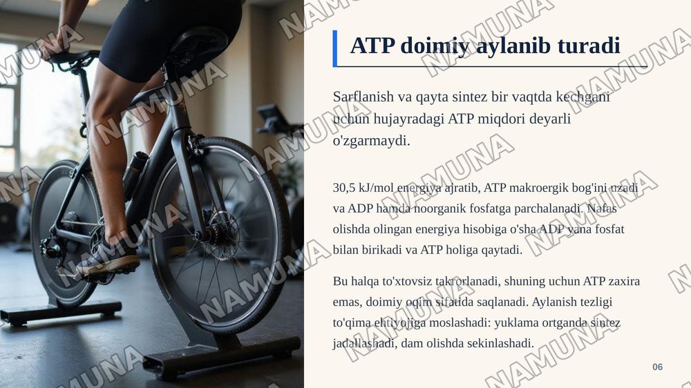 Adenozintrifosfatning tuzulishi va energetik ahamiyatini oʻrganish. — zamonaviy taqdimot, 7-slayd
