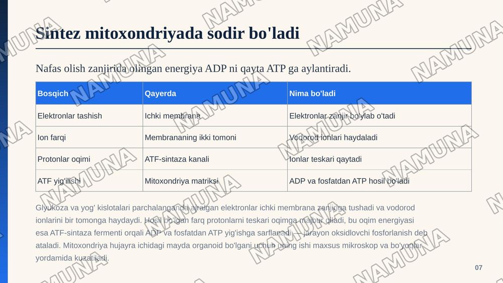 Adenozintrifosfatning tuzulishi va energetik ahamiyatini oʻrganish. — zamonaviy taqdimot, 8-slayd