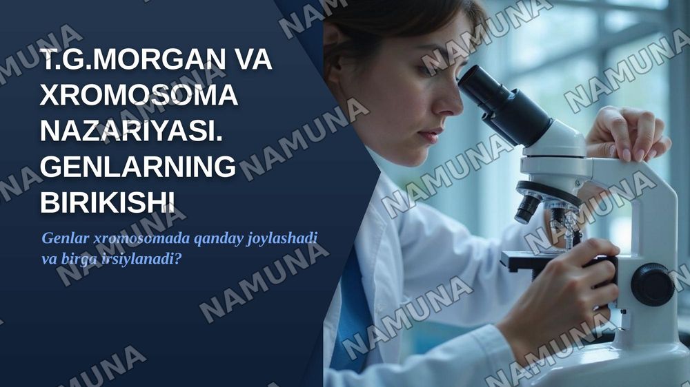 T.G.MORGANNING IRSIYATNING XROMOSOMA NAZARIYASI. GENLARNING BIRIKISH HODISASI, KROSSINGOVER. BELGILARNING JINSGA BIRIKKAN HOLDA IRSIYLANISHI. — zamonaviy taqdimot, 1-slayd