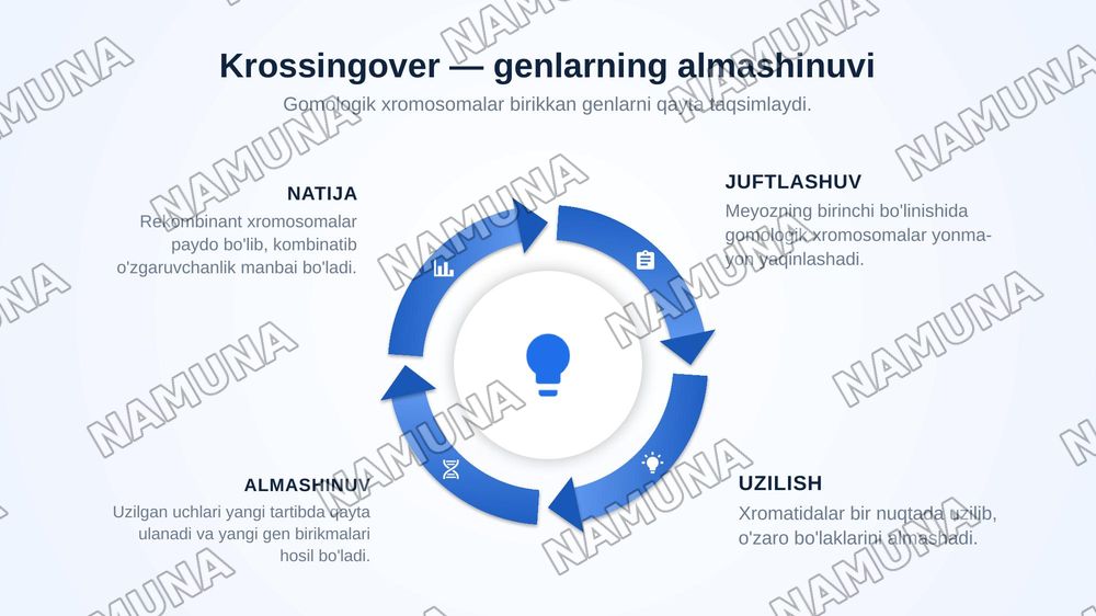 T.G.MORGANNING IRSIYATNING XROMOSOMA NAZARIYASI. GENLARNING BIRIKISH HODISASI, KROSSINGOVER. BELGILARNING JINSGA BIRIKKAN HOLDA IRSIYLANISHI. — zamonaviy taqdimot, 6-slayd