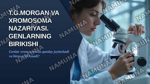 T.G.MORGANNING IRSIYATNING XROMOSOMA NAZARIYASI. GENLARNING BIRIKISH HODISASI, KROSSINGOVER. BELGILARNING JINSGA BIRIKKAN HOLDA IRSIYLANISHI. — zamonaviy taqdimot